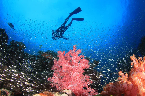 Foto Subaquática Mergulhador Profundidade Mar Azul — Fotografia de Stock