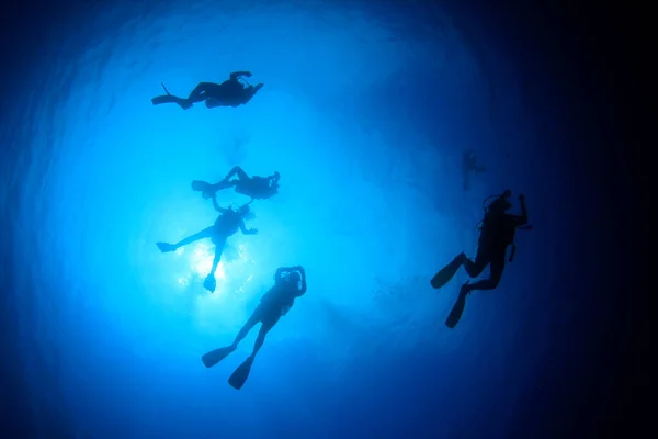 Mavi Denizin Derinliklerinde Bir Grup Dalgıcın Sualtı Fotoğrafı — Stok fotoğraf