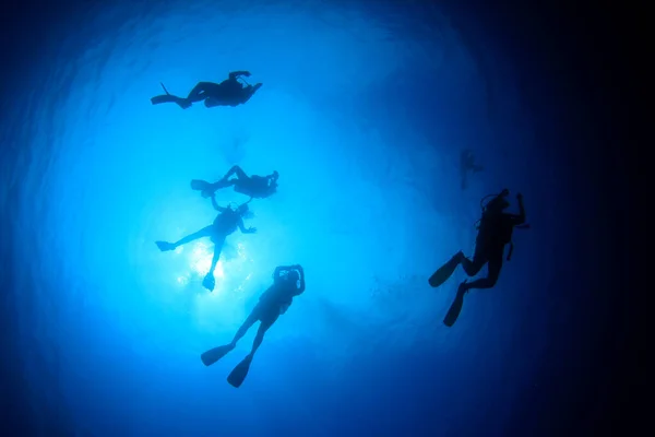 Foto Submarina Del Grupo Buceadores Profundidad Del Mar Azul —  Fotos de Stock