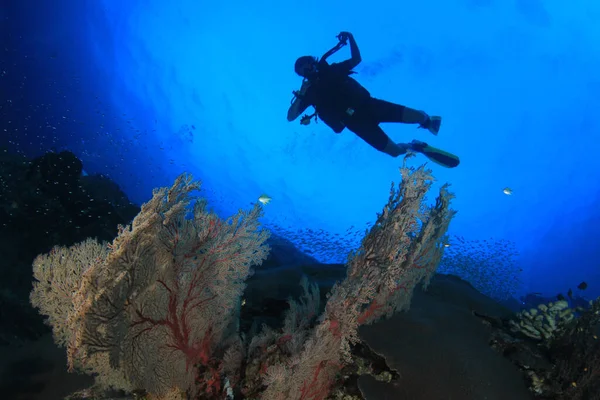 青い海の底に潜るダイバーの写真です — ストック写真