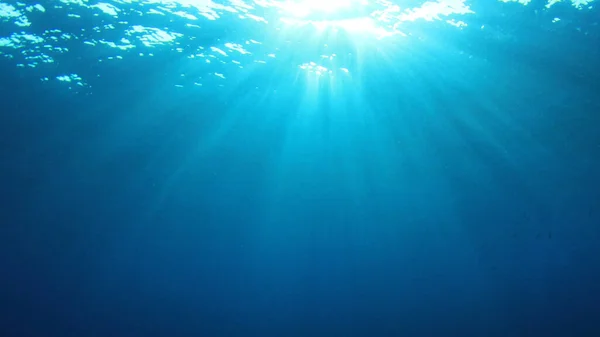 Prachtig Onderwater Landschap Van Oceaan — Stockfoto