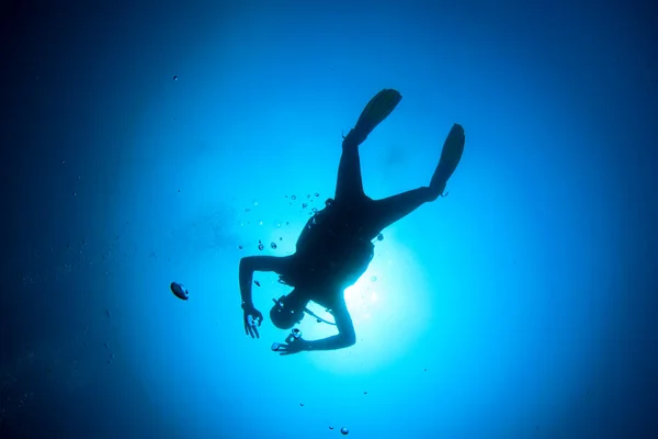 Photo Sous Marine Plongeur Dans Profondeur Mer Bleue — Photo