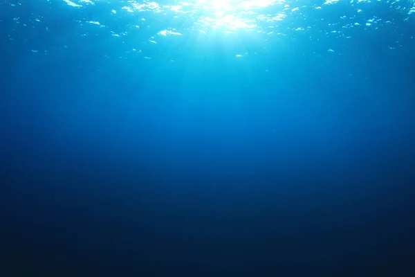 Beautiful Underwater Landscape Ocean — Stock Photo, Image