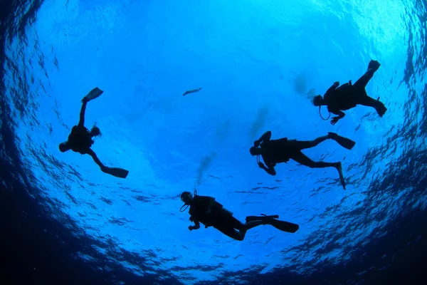 Foto Subaquática Grupo Mergulhadores Profundidade Mar Azul — Fotografia de Stock