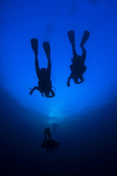 Foto Subaquática Grupo Mergulhadores Profundidade Mar Azul — Fotografia de Stock