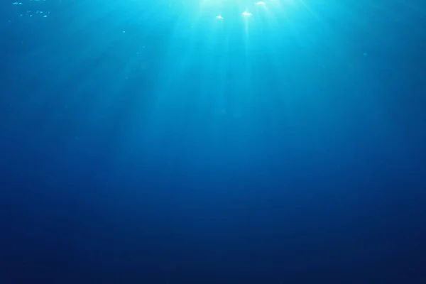 Prachtig Onderwater Landschap Van Oceaan — Stockfoto