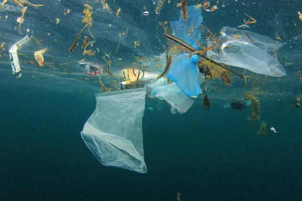 Okyanustaki plastik çöp kirliliği. Çevresel sorun kavramı