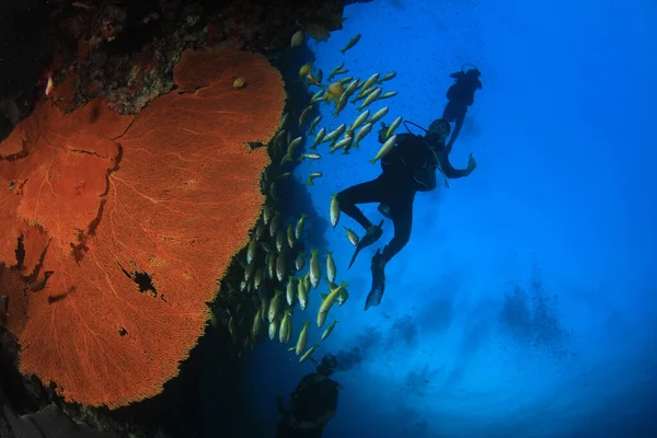 青い海の奥に潜るダイバーのグループの水中写真 — ストック写真