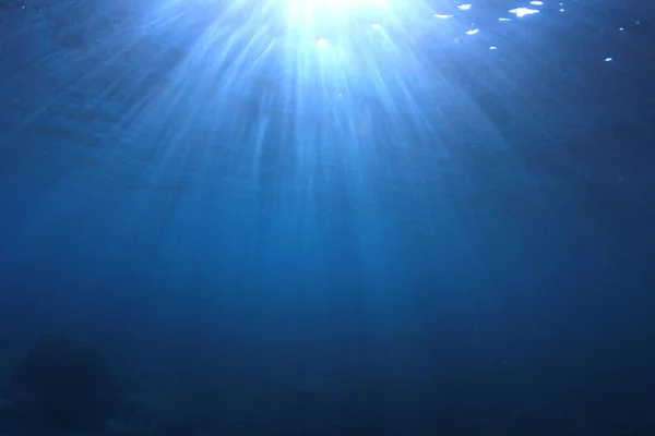 Gyönyörű Víz Alatti Táj Óceán — Stock Fotó