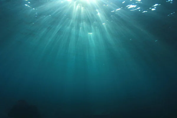 Красивый Подводный Пейзаж Океана — стоковое фото