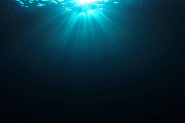 beautiful underwater landscape of the ocean