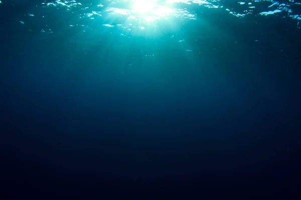 beautiful underwater landscape of the ocean