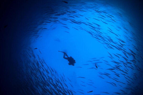 Underwater Photo Diver Depth Blue Sea Stock Picture