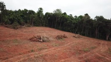 Yazın dağın havadan görünüşü. Ormanların tahrip konsepti