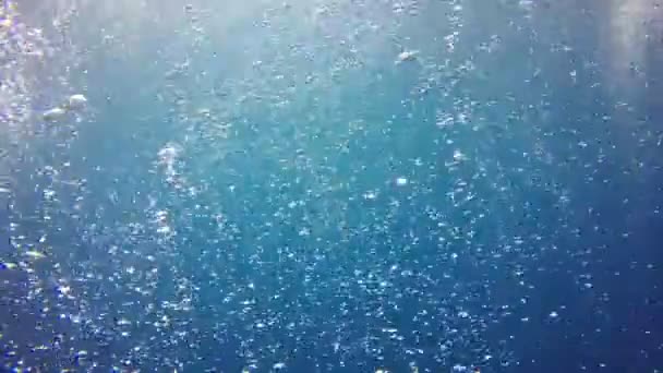 beau paysage sous-marin de l'océan