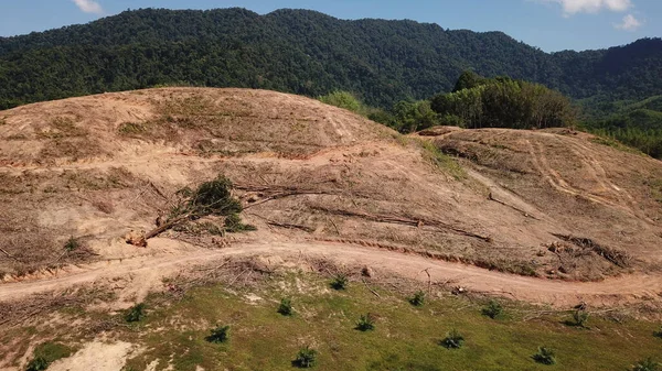 Vista Aérea Montanha Com Árvores Verão — Fotografia de Stock