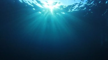 Okyanusun güzel sualtı manzarası