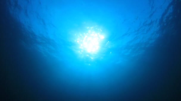 Okyanusun Güzel Sualtı Manzarası — Stok video