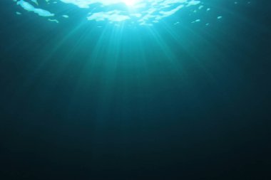 Okyanusun güzel sualtı manzarası