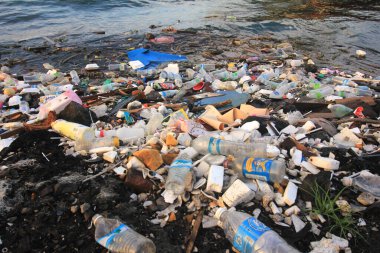 Sahildeki çöpler. Kirlilik kavramı