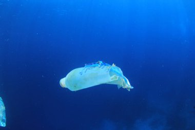 Okyanustaki plastik çöp kirliliği. Çevresel sorun kavramı