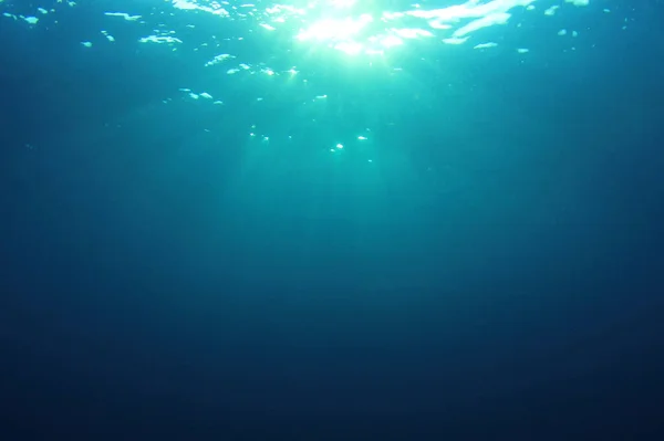 美丽的水下海洋景观 — 图库照片