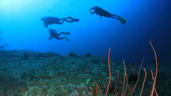 青い海の奥に潜るダイバーのグループの水中写真 — ストック写真