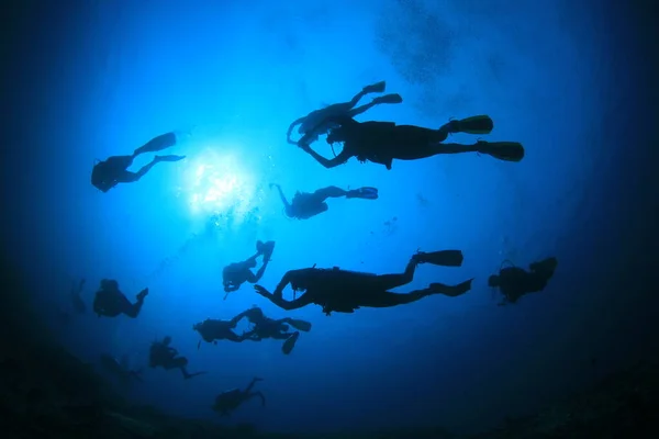 Υποβρύχια Φωτογραφία Ομάδας Δυτών Στο Βάθος Της Γαλάζιας Θάλασσας — Φωτογραφία Αρχείου