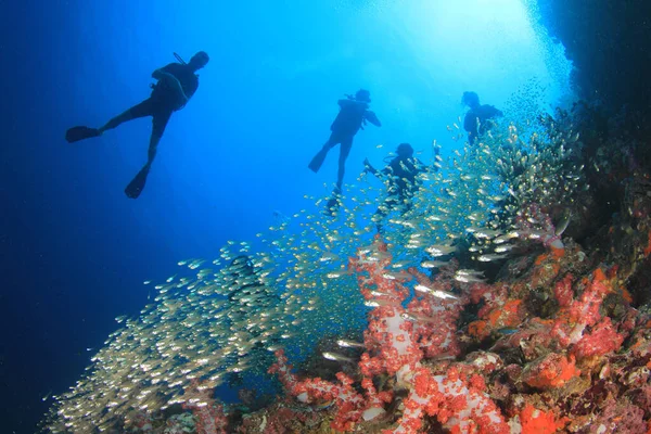 青い海の奥に潜るダイバーのグループの水中写真 — ストック写真