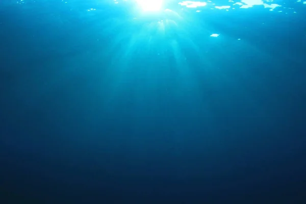 Prachtig Onderwater Landschap Van Oceaan — Stockfoto