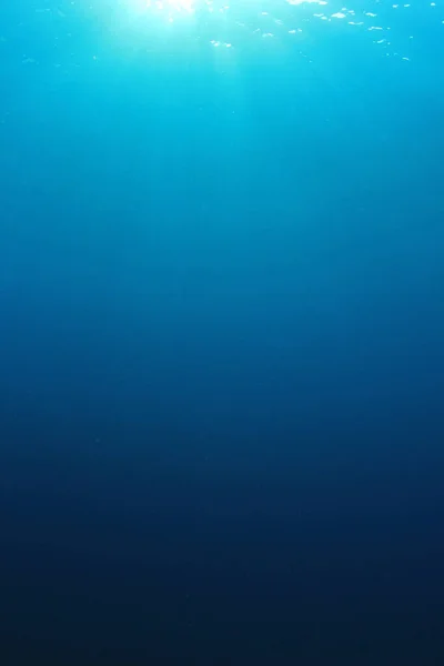 Όμορφο Υποβρύχιο Τοπίο Του Ωκεανού — Φωτογραφία Αρχείου