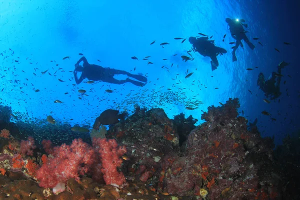 青い海の奥に潜るダイバーのグループの水中写真 — ストック写真