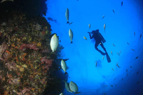Undervannsfoto Dykker Blått Havdyp – stockfoto