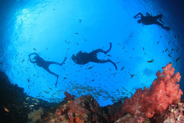 Onderwaterfoto Van Groep Duikers Diepte Van Blauwe Zee — Stockfoto