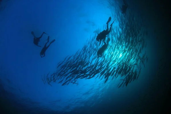 Υποβρύχια Φωτογραφία Ομάδας Δυτών Στο Βάθος Της Γαλάζιας Θάλασσας — Φωτογραφία Αρχείου