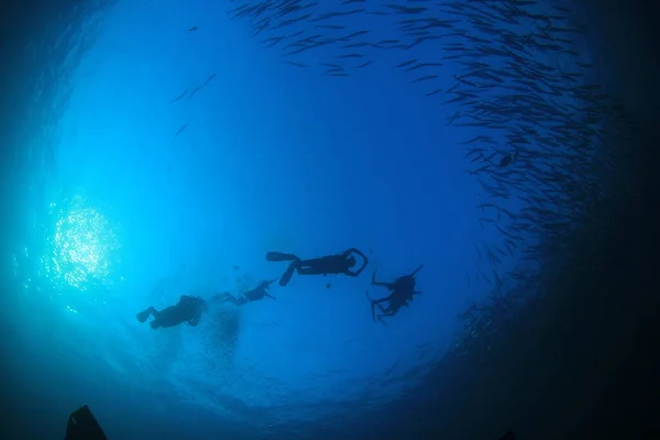 underwater photo of group of divers in the depth of blue sea