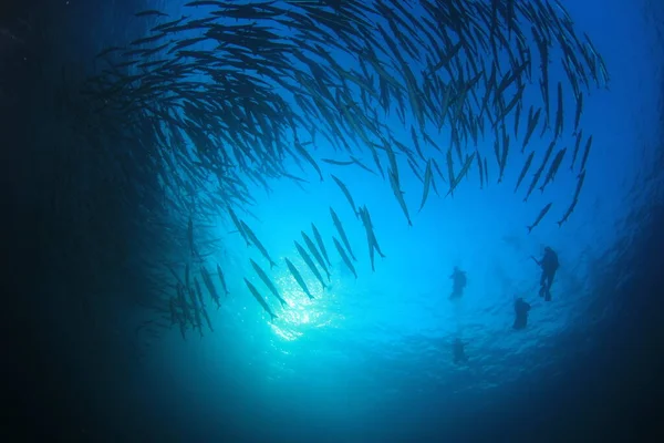 Underwater Photo Group Divers Depth Blue Sea — Stock Photo, Image