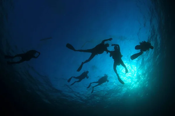 Foto Submarina Del Grupo Buceadores Profundidad Del Mar Azul — Foto de Stock