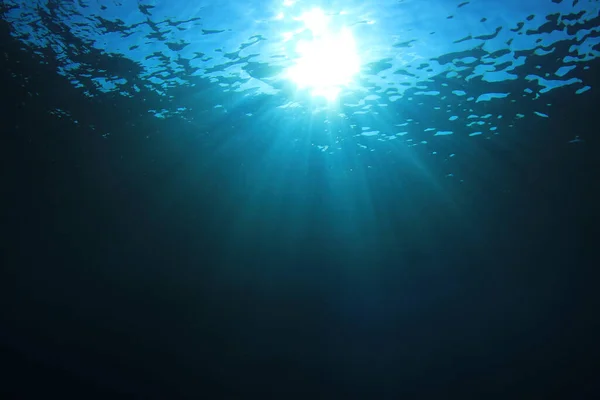 Bela Paisagem Subaquática Oceano — Fotografia de Stock