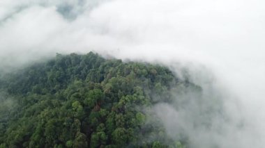 Siste ağaçlarla birlikte dağın havadan görünüşü.