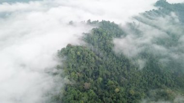 Siste ağaçlarla birlikte dağın havadan görünüşü.
