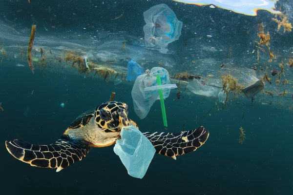 Turtle with plastic trash. Global pollution.