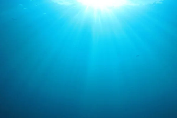 Prachtig Onderwater Landschap Van Oceaan — Stockfoto