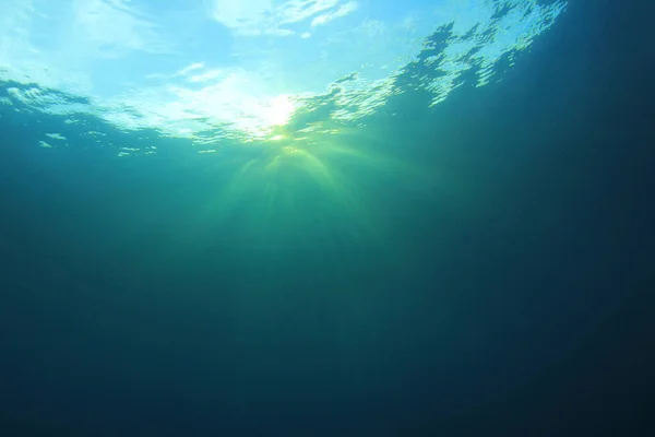 Beautiful Underwater Landscape Ocean — Stock Photo, Image