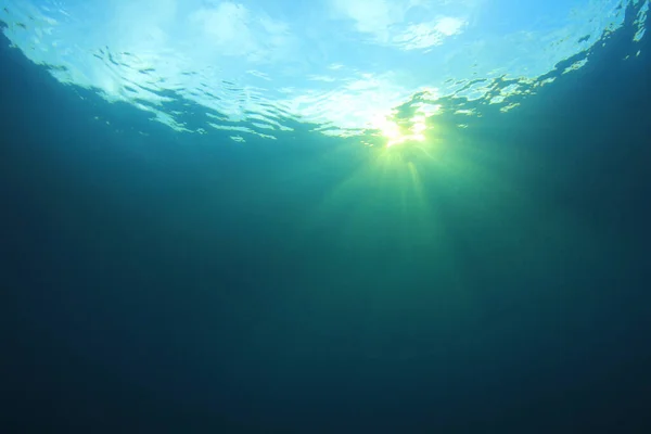 Красивый Подводный Пейзаж Океана — стоковое фото