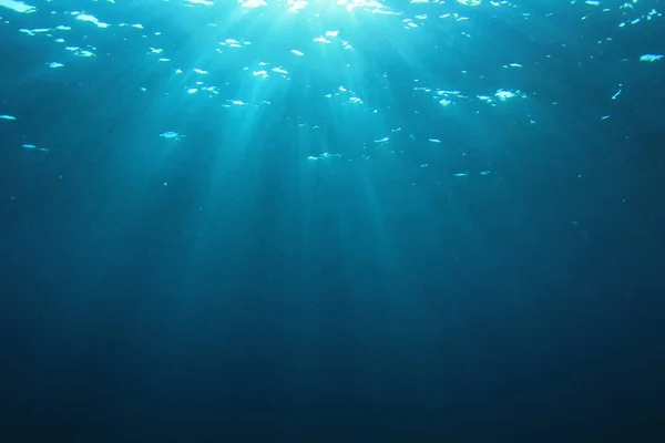 Bela Paisagem Subaquática Oceano — Fotografia de Stock