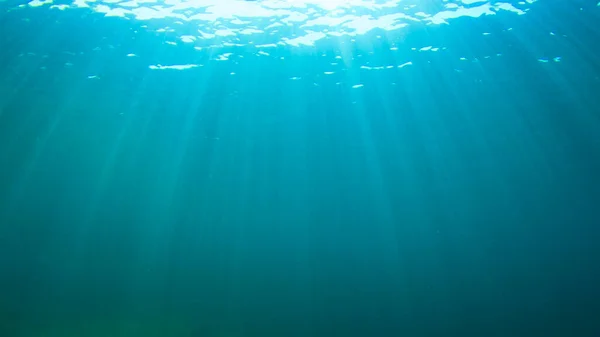 Krásná Podvodní Krajina Oceánu — Stock fotografie
