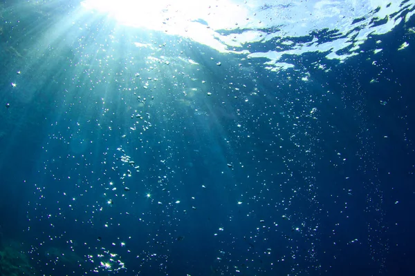 Bela Paisagem Subaquática Oceano — Fotografia de Stock