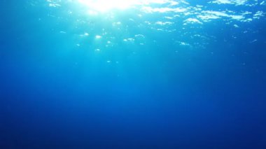 Okyanusun güzel sualtı manzarası