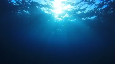 Okyanusun güzel sualtı manzarası